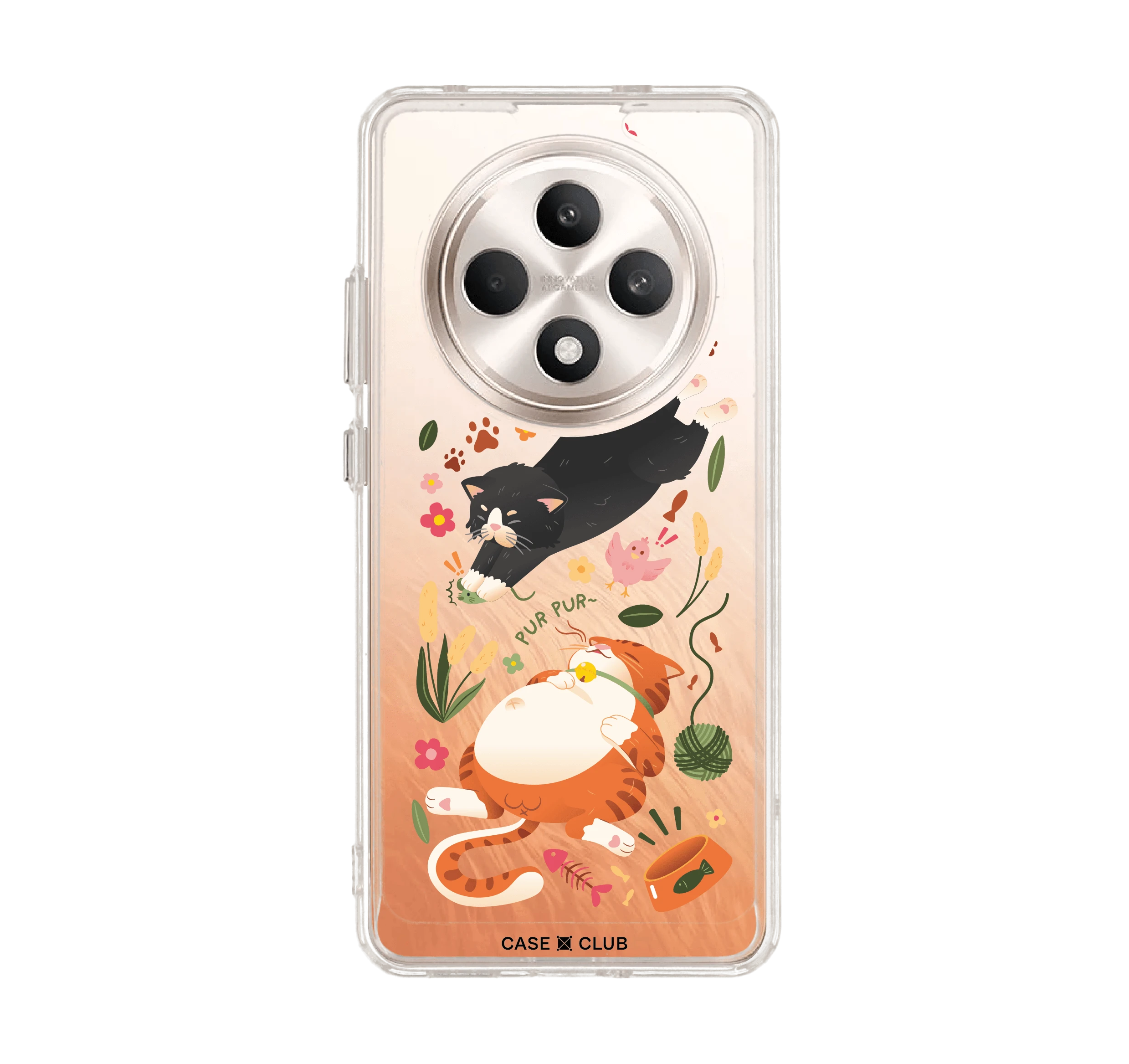 เหมียวตัวกลมกับเพื่อนซี้แมวดำ